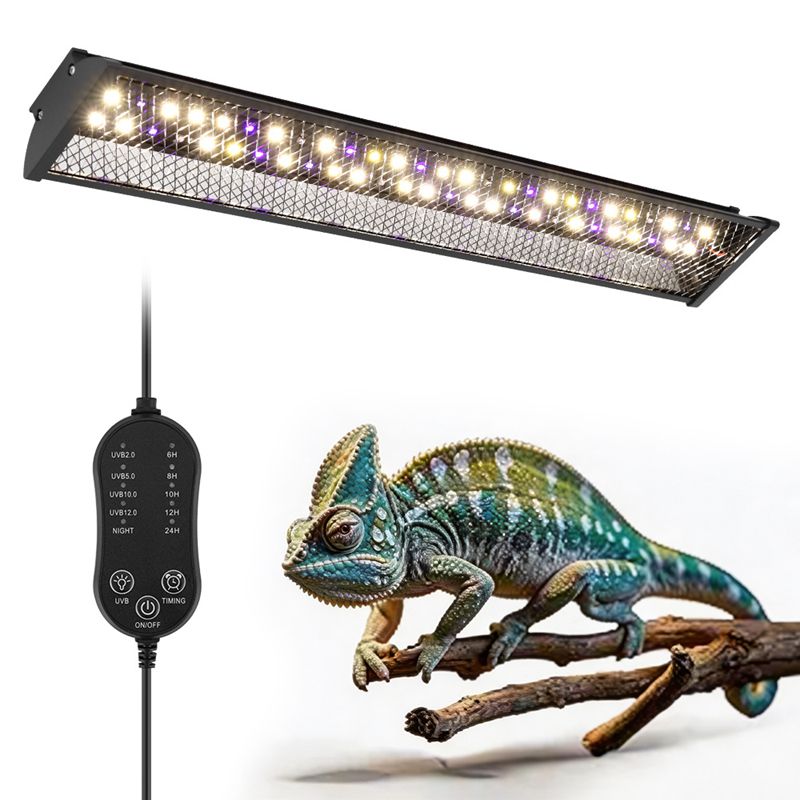 Calcium Powder Reptile - Reptiles Bracket Light Maned Lion Lizard