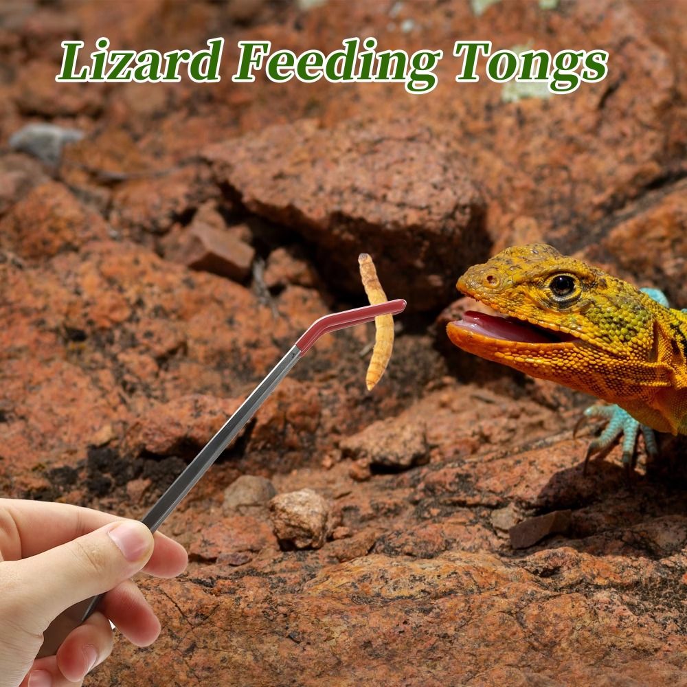 New 27cm Aquarium Feeding Twee - огляд і ціна Feeding Tong Stainless