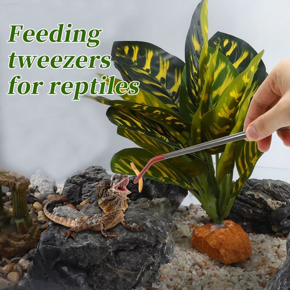 New 27cm Aquarium Feeding Twee - огляд і ціна Feeding Tong Stainless