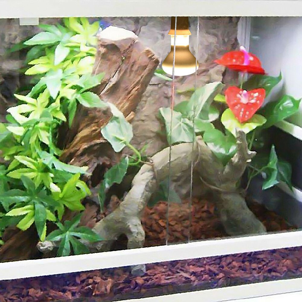 Turtle Heater Heat Lamp Baskin - огляд і ціна Basking Bulb Halogen