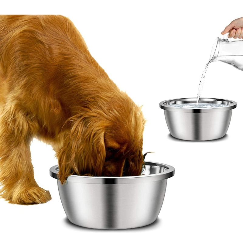 A Stainless Steel Dog Feeders  - огляд і ціна Royal Canin Food Medium